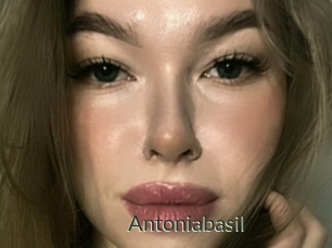 Antoniabasil