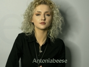 Antoniabeese