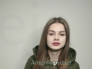 Antoniacordner