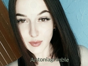 Antoniagrimble