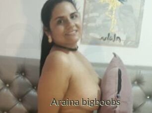 Araina_bigboobs