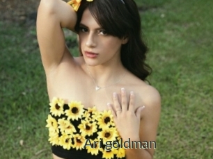 Ari_goldman