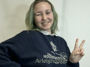 Arleighdagg