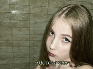 Audreybagge