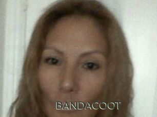 BANDACOOT
