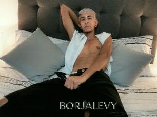 BORJALEVY