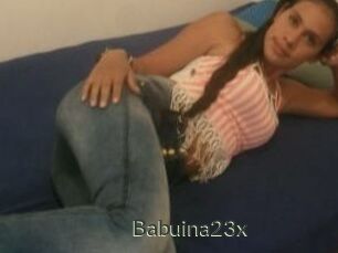 Babuina23x