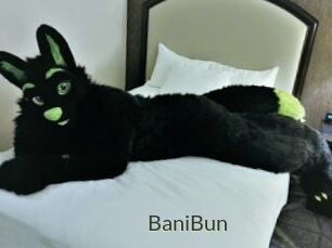 BaniBun