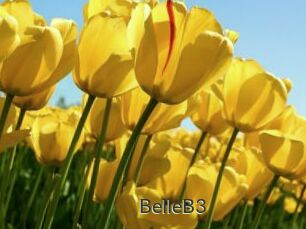 BelleB3
