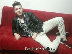 Berlinfonollosa
