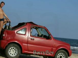 BerryBoy