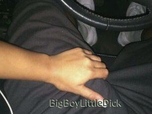 BigBoyLittleDick