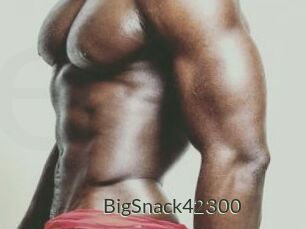 BigSnack42300