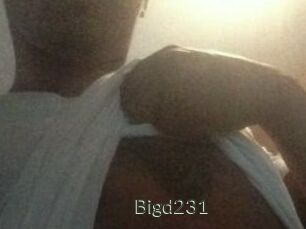 Bigd231