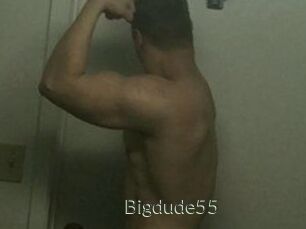 Bigdude55