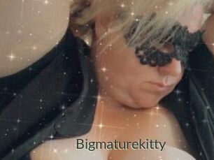 Bigmaturekitty
