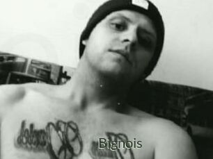 Bignois