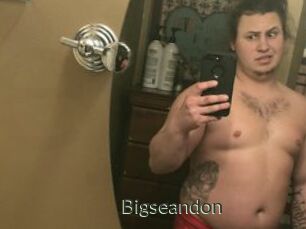 Bigseandon