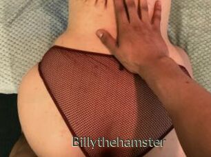 Billythehamster