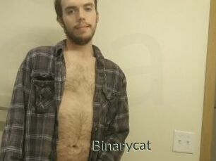 Binarycat