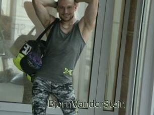 BjornVanderStein