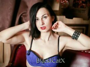 BlackICatX