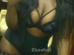 Bluvelvet