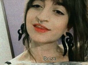 Briza