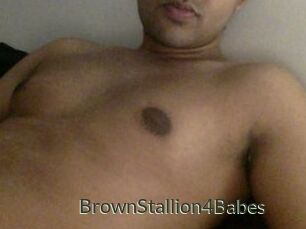 BrownStallion4Babes