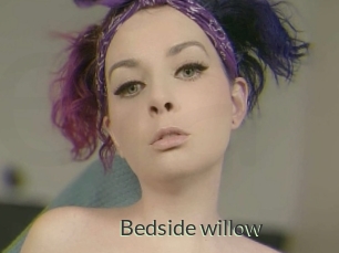 Bedside_willow