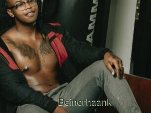 Beinerhaank