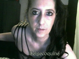 Belgecoquine