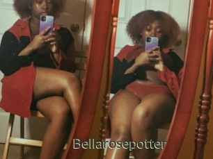 Bellarosepotter