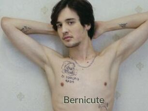Bernicute