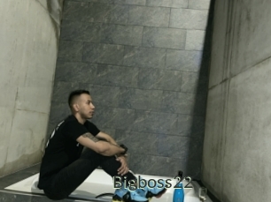 Bigboss22