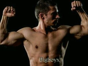 Bigboyx
