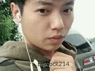 Bigcock214