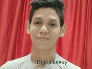 Bigdicksexy