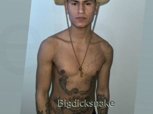 bigdicksnake Ejaculator