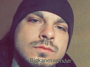 Bigkaneswonder