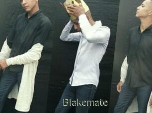 Blakemate