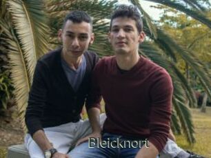 Bleicknort