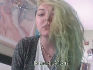 Bluebird0316