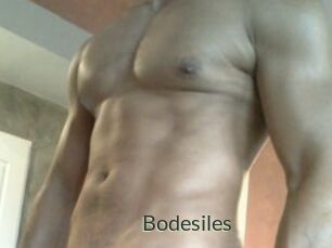 Bodesiles