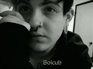 Boicub