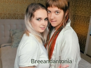Breeandantonia