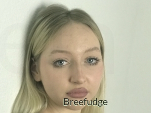Breefudge