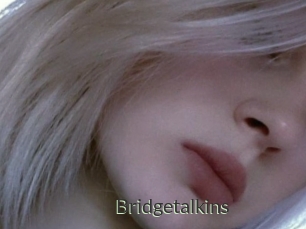 Bridgetalkins