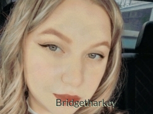 Bridgetharkey