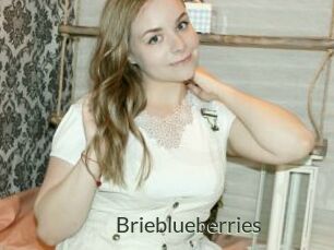 Brieblueberries